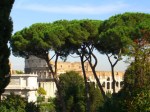 trees-in-front-of-colosseum